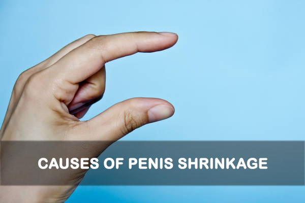 What Causes Penis Shrinkage