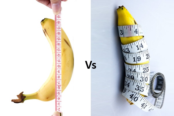 Penis Girth Vs Length